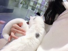 -极木²邸 人与宠物·互动社区