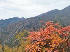 -秦岭终南山世界地质公园翠华山景区