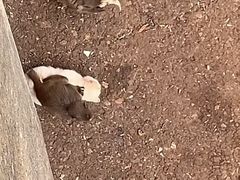 -昆明动物园