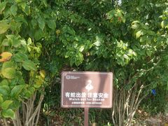 -深圳湾公园(南山区)