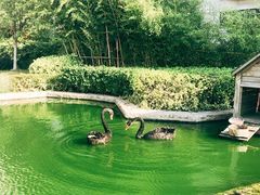 -行者书屋大堂吧 ·下午茶(南京圣和府邸酒店)