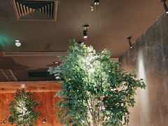 -同仁四季椰子鸡(无锡滨湖万象汇店)