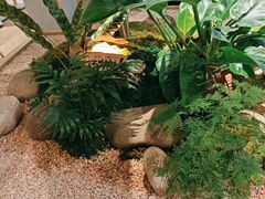 -相遇·川湘融合菜(丹阳吾悦广场店)