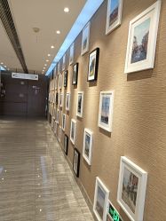 -上海首尔丽格医疗美容医院