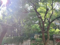 -解放阁