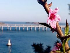 -马栏河运动公园