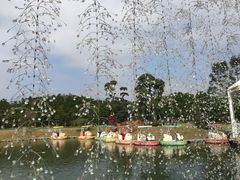 -迪茵湖田家舍生态农场