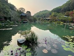 -云溪植物园