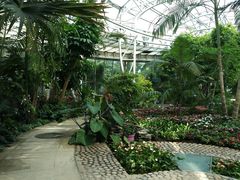 -北京植物园-展览温室