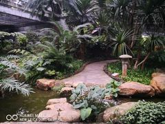 景点-广州珠江公园