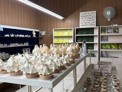 -青岛贝壳博物馆