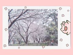 -苏州市立医院本部母子保健中心
