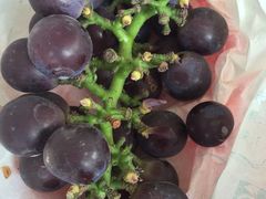 -马陆小张葡萄园农家乐