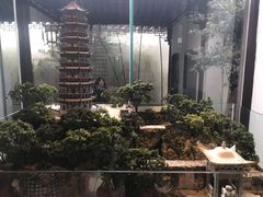 -金鸡湖桃花岛