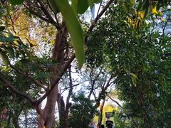 -广州市白云山风景名胜区