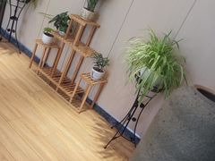-东哥紫阳蒸盆子(旺座·现代城店)
