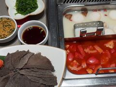-海底捞火锅(龙岗星河COCO Park店)