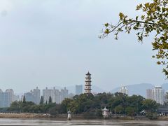 -江心屿景区