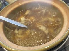 -大中鱼翅 Taitong Shark Fin