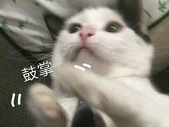 -串掌柜·炭火烤肉撸串专营店(盛世俪园店)