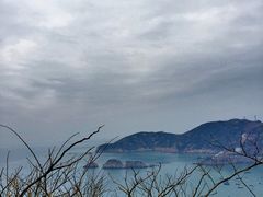 -枸杞岛