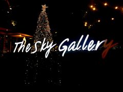 -网红落日悬崖餐厅 The Sky Gallery