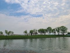 -苏州太湖国家湿地公园