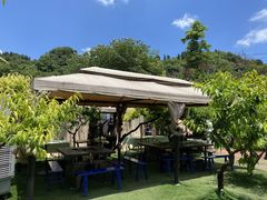 -正宗火盆自助烧烤·烤全羊·柴火鸡(龙泉山店)