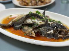 -老郑海鲜楼(天桥店)