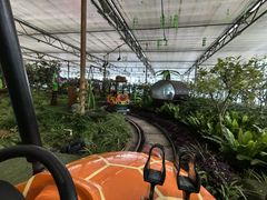 -南宫五洲植物乐园