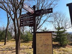 -北京西山国家森林公园