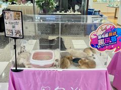-丽达购物中心(崂山店)