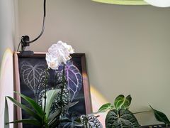 -本無咖啡·BeanWood Coffee