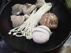 -丽江庭院之爱在路上(西单店)