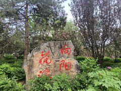 -太阳宫公园