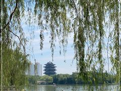 -济南大明湖景区