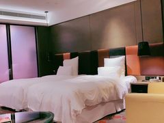 -南京禄口机场雅高铂尔曼大酒店