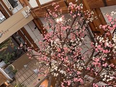 -蜜桃餐厅·伴山(湖滨商业街店)