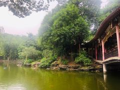 -华雅花园大酒店