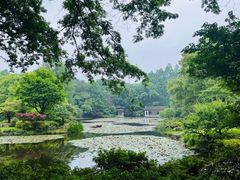 -杭州植物园