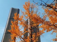 -大望京公园