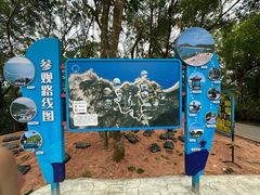 -广东惠东海龟国家级自然保护区