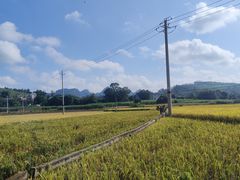 -明仕田园