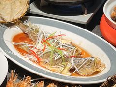 -前海沿·青岛菜(大拇指广场石老人店)