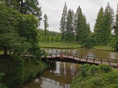 -黄海国家森林公园