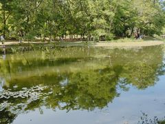 -长白岛森林公园