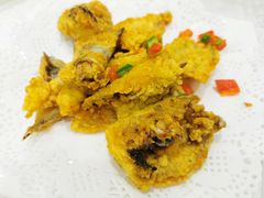 -寻味顺德·南记酒家·传统顺德菜·鱼生(广源路店)