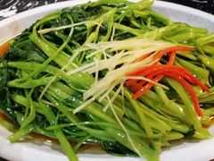 白灼时蔬-金龙寨酒楼(金城店)