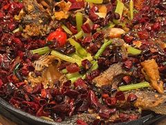 -老板恋上鱼(印象城店)