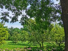 -汉长安城未央宫国家考古遗址公园